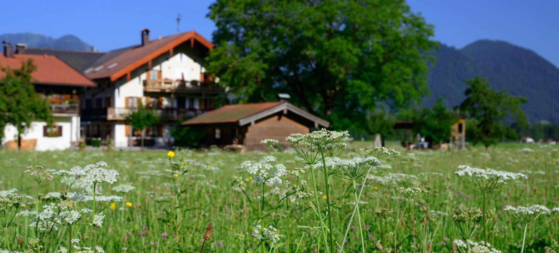 Ferienwohnungen Ramslerhof Inkl. Chiemgaukarte Ruhpolding Εξωτερικό φωτογραφία